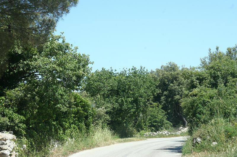 IMG_6016.JPG